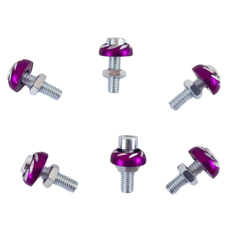 Tornillos decorativos (6 piezas) TRAXP-002 morado AXESPRO
