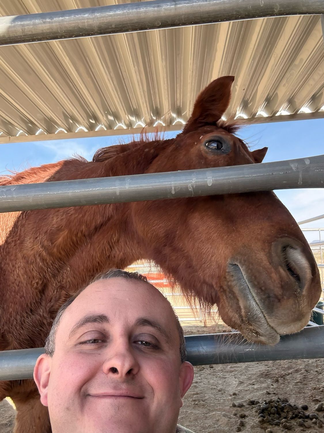 Otter Creek labs 556K Balance