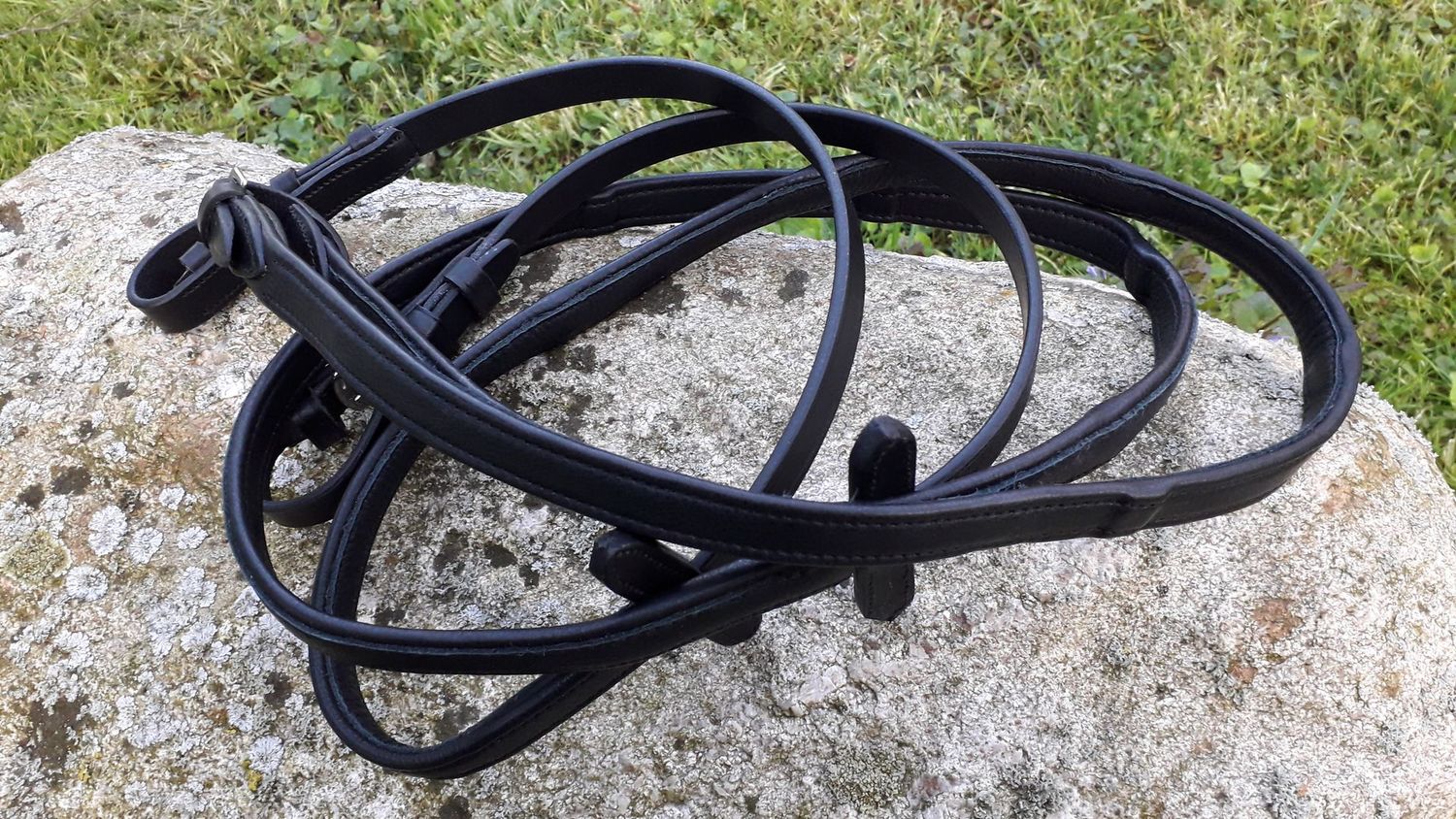 Weiche Lederzügel mit eingenähten Stegen