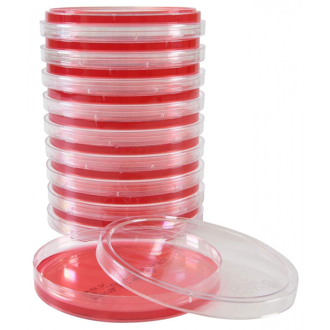Mannitol Salt Agar
