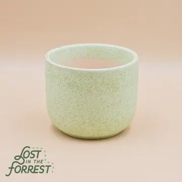 4 inch Ceramic Pot, Color: Light Green