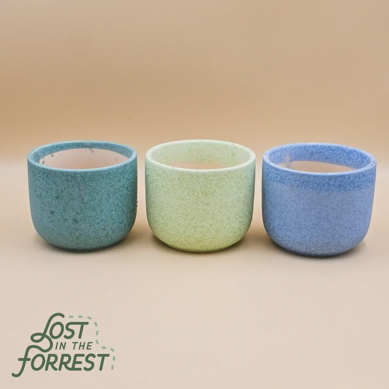 4 inch Ceramic Pot