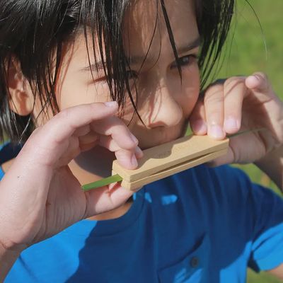 Make Your Own Grass Whistle