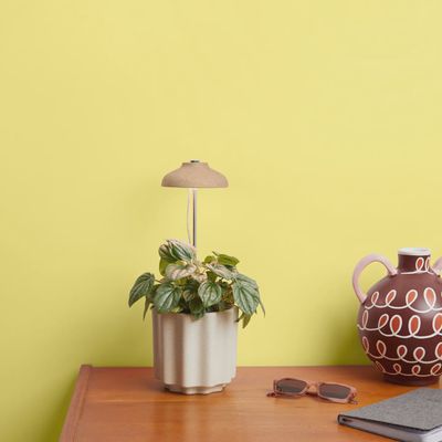 Instant Sun Extendable Grow Lamp