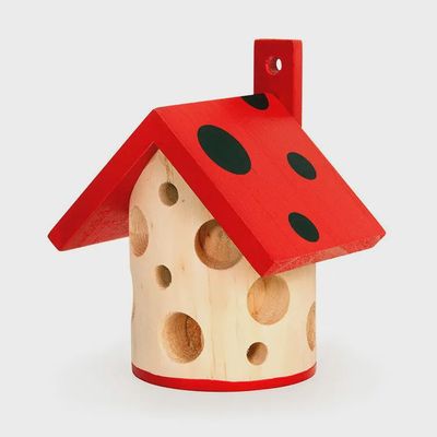 Little Lady Bug House