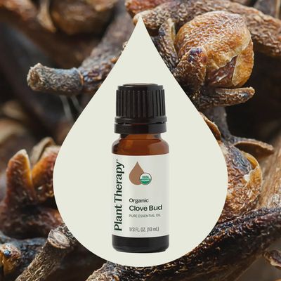 Organic Clove Bud Essential Oil (10 mL)