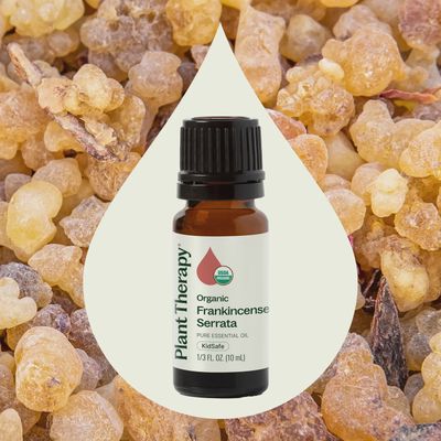 Organic Frankincense Serrata Essential Oil (10 mL)