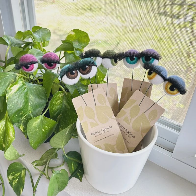 Felt Planter Eyeballs with Eyelashes