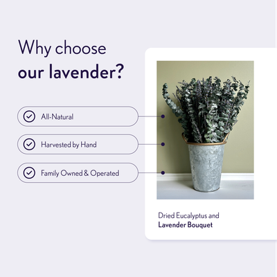 Dried Lavender and Eucalyptus Bouquets