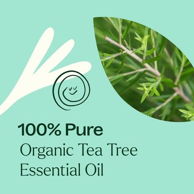 Organic Tea Tree Essential Oil 10 mL