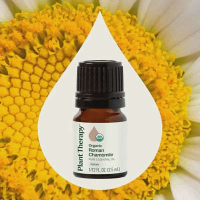 Organic Roman Chamomile Essential Oil 2.5 mL