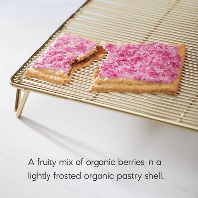 Nature's Path Organic Toaster Pastries
