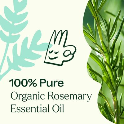 Organic Rosemary 1,8-Cineole Essential Oil 10 mL