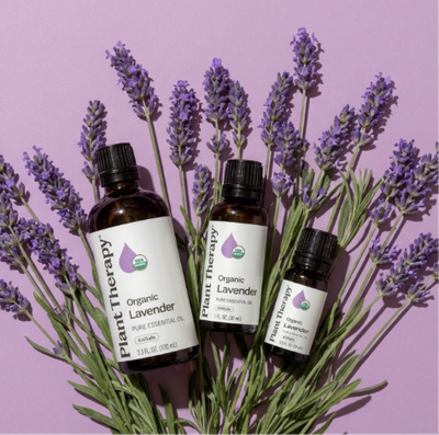 Organic Lavender Essential Oil 10 mL