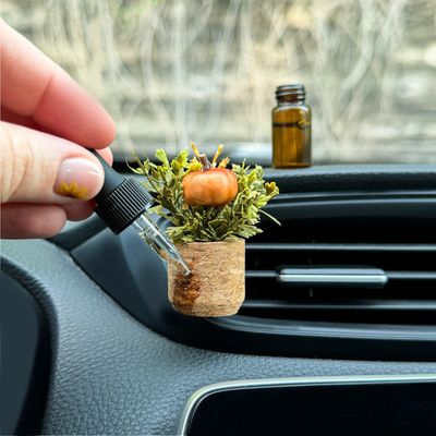 Pumpkin Patch Plant Vent Clip Car Air Freshener Reusable