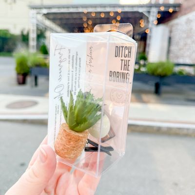 Short Aloe Vera Plant Vent Clip Car Air Freshener (Reusable)