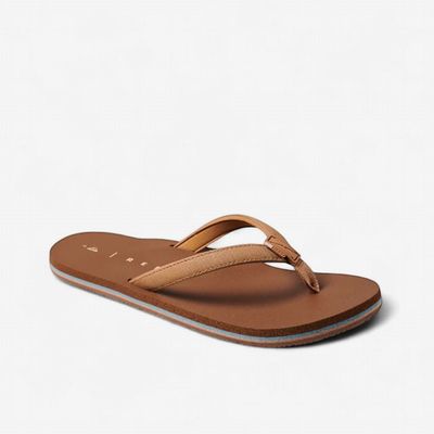 REEF SOLANA