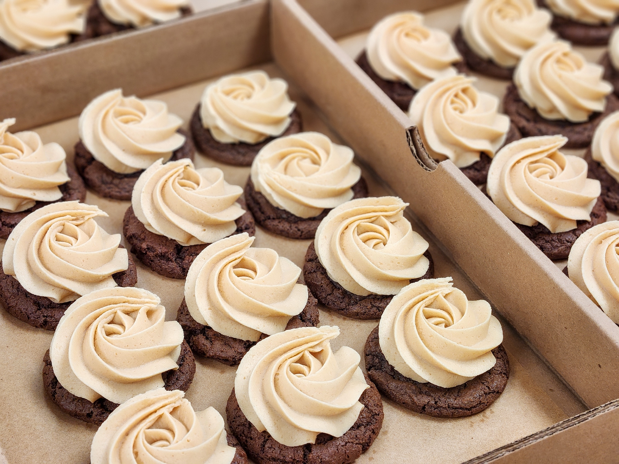 Frosted Mini Chewy