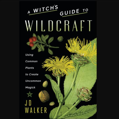 Witch's Guide to Wildcraft