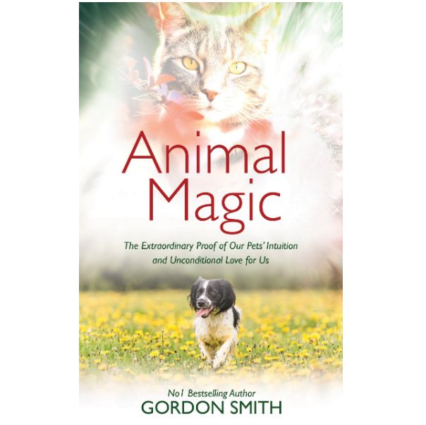 Animal Magic