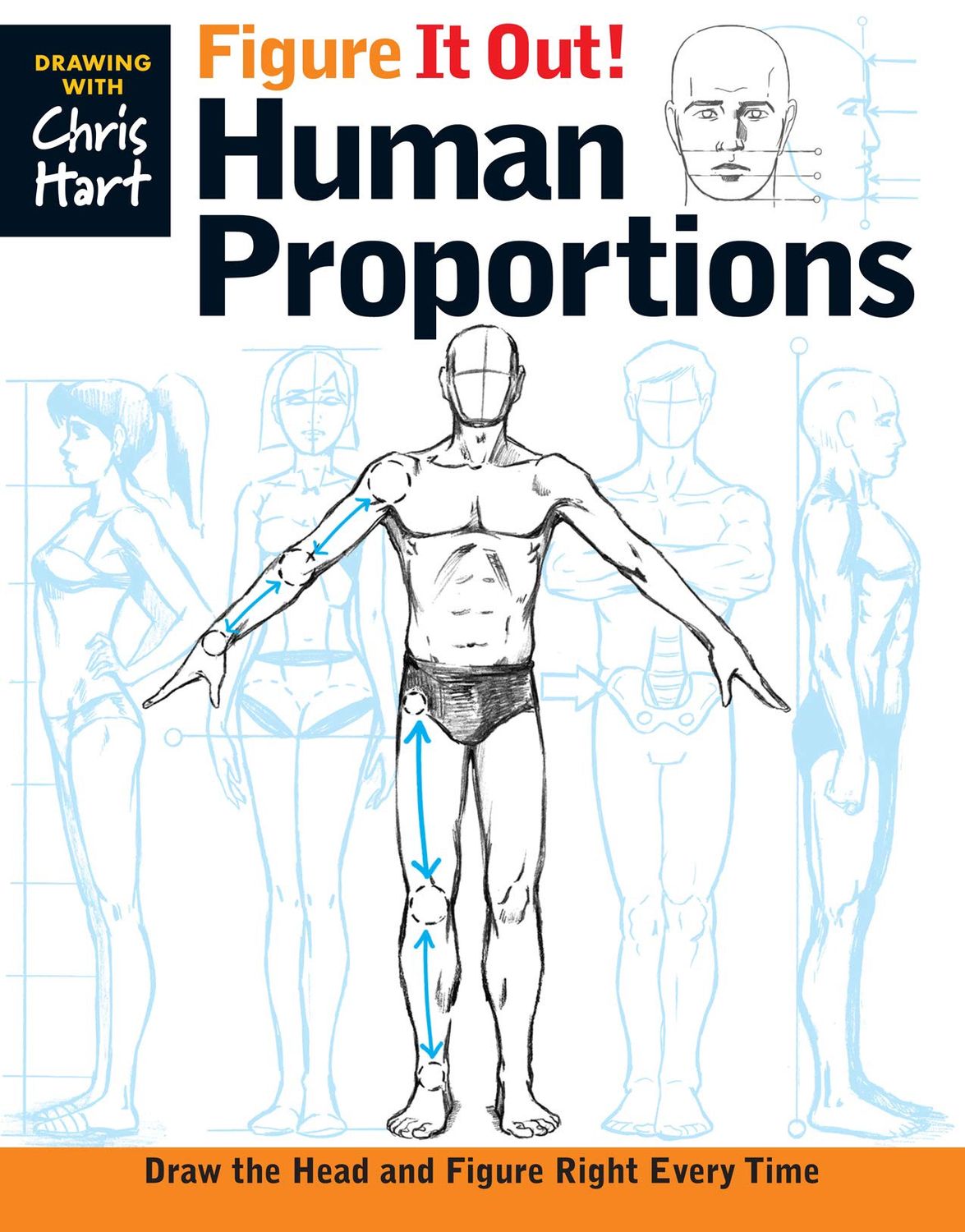 Figure It Out! Human Proportions