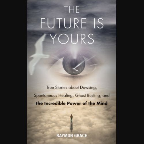 Future Is Yours, The by Raymon Grace