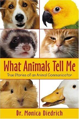 What Animals Tell Me