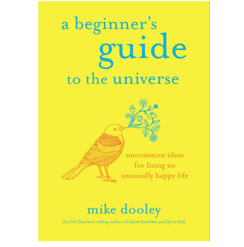 A Beginners Guide to the Universe