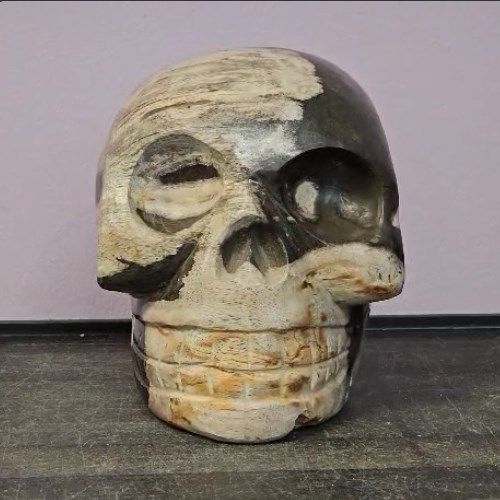 Petrified Wood Skull 6" /  3.8kg