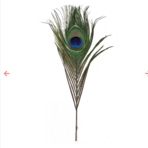 Feathers - Peacock Feather 9-12&quot;