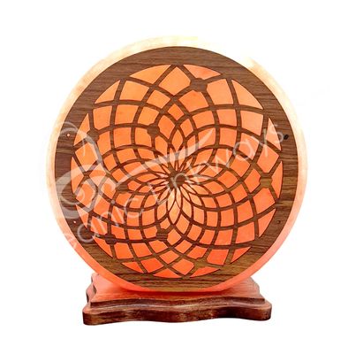 Salt Lamp Wood Dream catcher 8.25"
