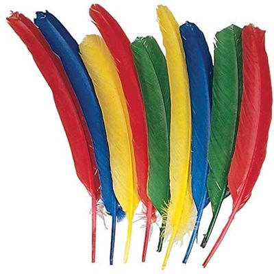 Feathers 12" Dyed Turkey Feather Select Color