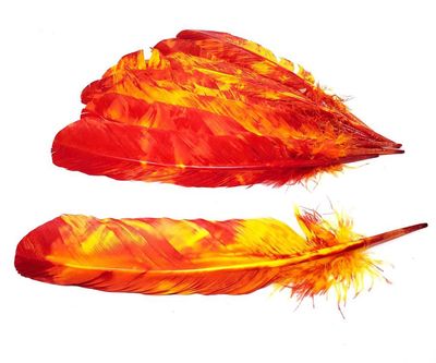 Feathers Tie Dye 10-12" - Select