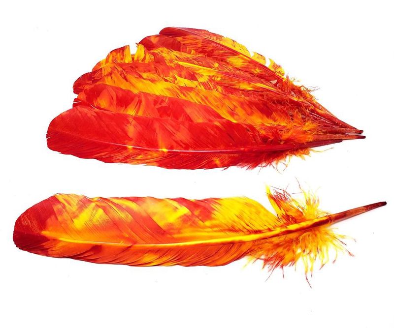 Feathers Tie Dye 10-12&quot; - Select