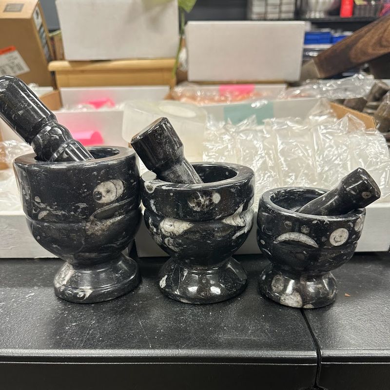 Mortar &amp; Pestle Fossil Select