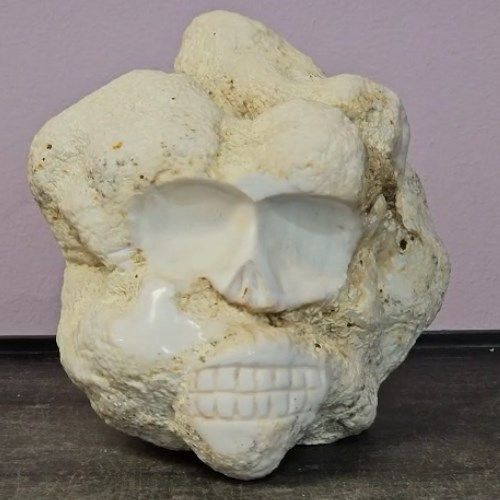 Agate White Skull 6"x6" / 3.62kg