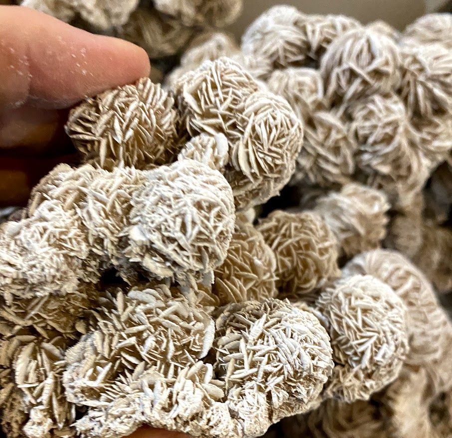 Desert Rose Cluster 4"