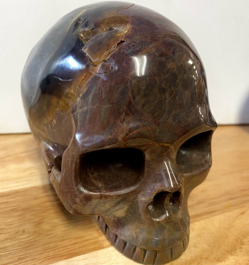 Onyx Argentinian Skull 5" / 1163g by Skullis
