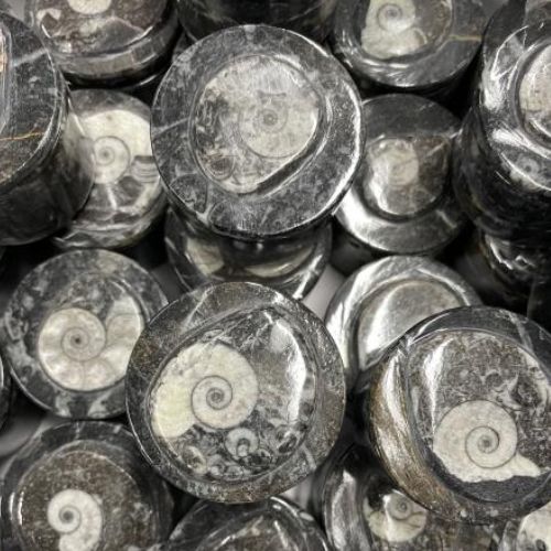 Box Circle Shape Marbled Fossil 2.5"