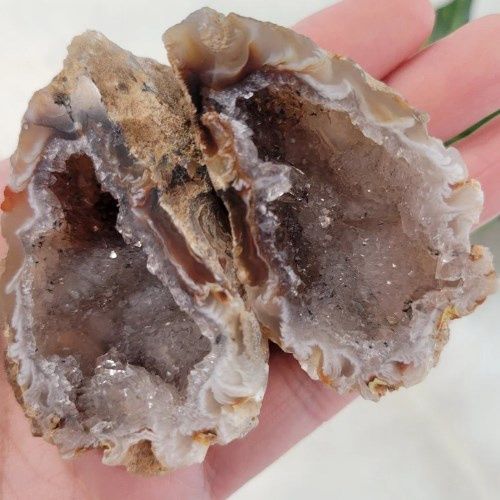Occo Agate Geode High Grade 2" - 2.5" 75 - 125g