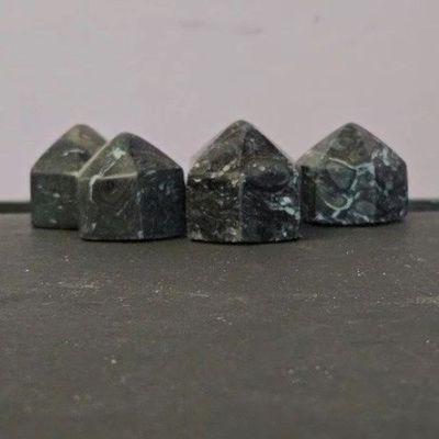 Crinoid Fossil Short Point Polished