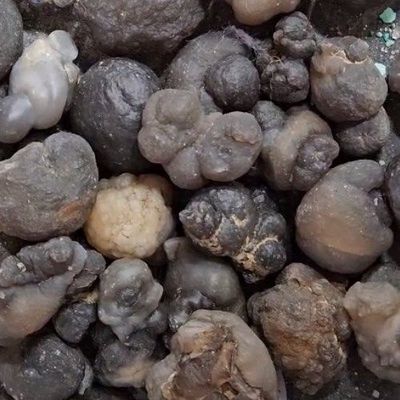 Chalcedony Botryoidal .75"-1.25"