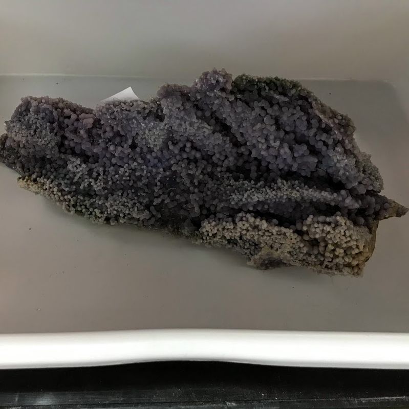 Agate Grape 10-11&quot;