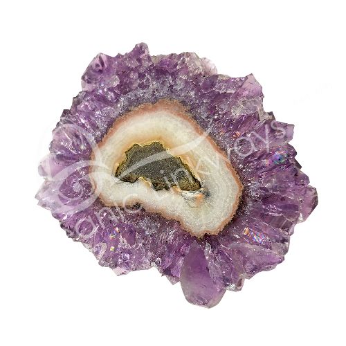 Stalactite Slices Packaged