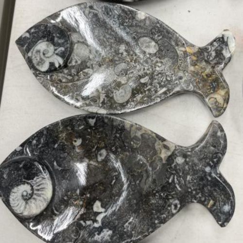 Bowl Fish Shape Marbled Fossil 5"