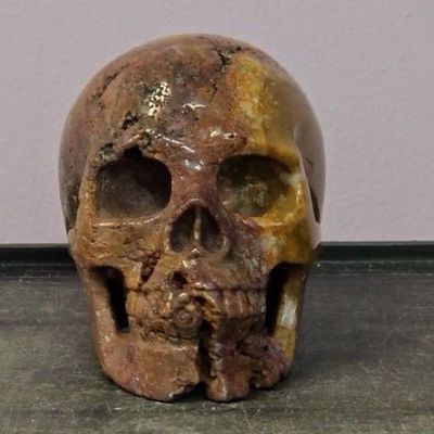 Agate Dinosaur Egg Skull 5" / 1277g by Skullis