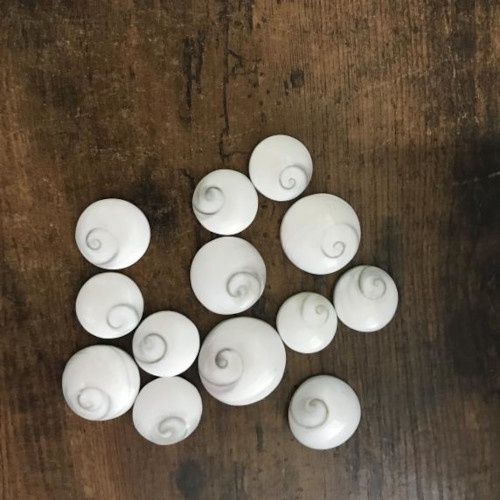 Shiva Eye Stone .75"-1.25"