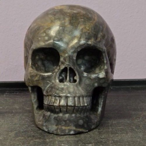 Skull Agate Bamboo Leaf Stone 5" 1305g Skullis