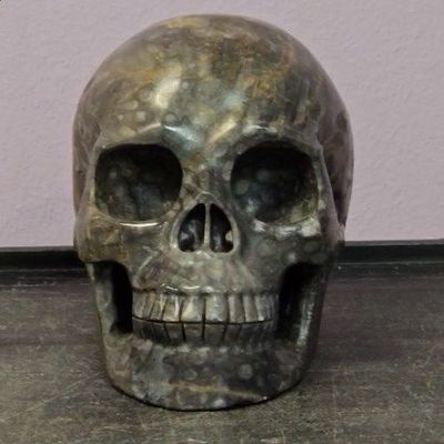 Skull Agate Bamboo Leaf Stone 5" 1305g Skullis