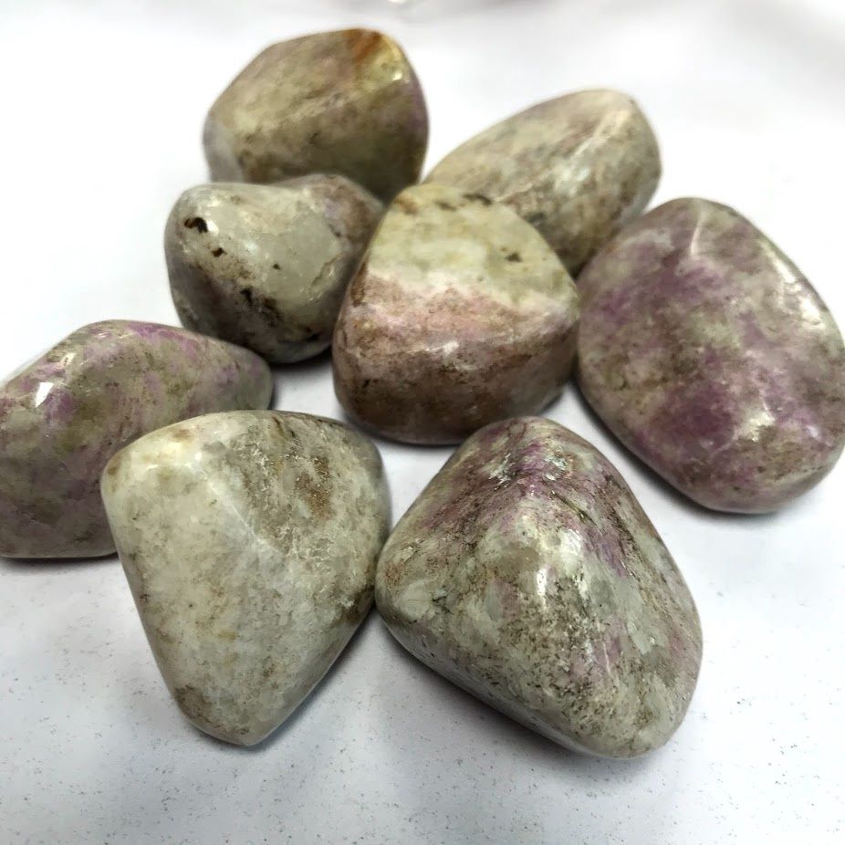 Hackmanite Tumbled Stone  1.5"-2"